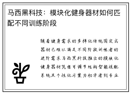 马西黑科技：模块化健身器材如何匹配不同训练阶段